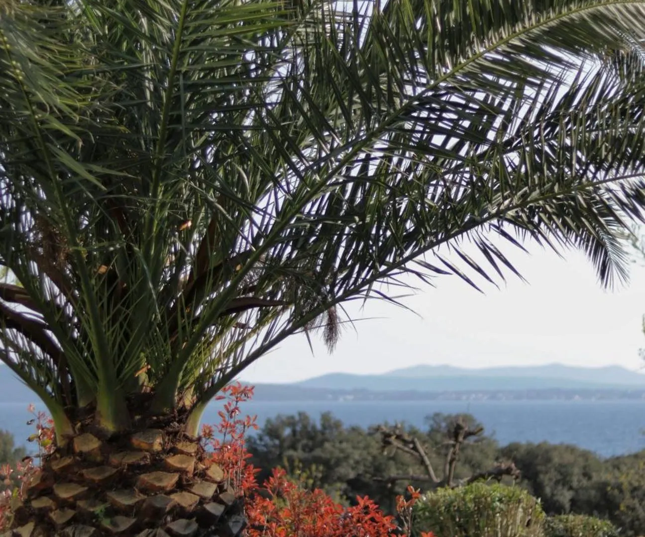Nikola Luxury Apartments Senia Petrcane Croatia